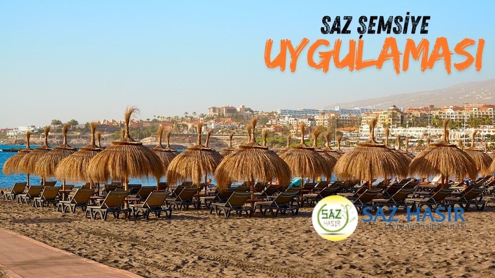 Saz Şemsiye - Görsel 3