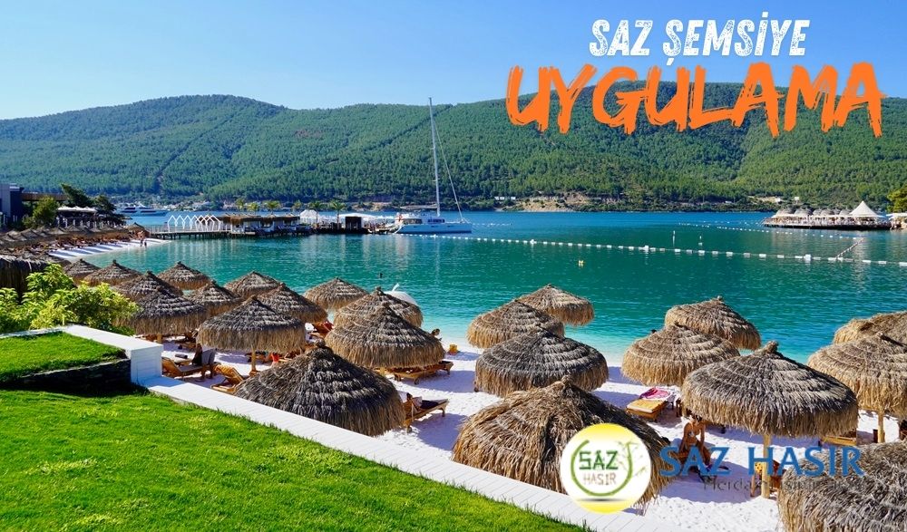 Saz Şemsiye - Görsel 2